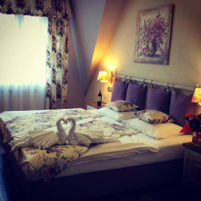 Гостиница Centrum Green Hill Business & SPA  Висла